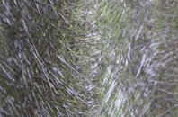 Fowlmere fibreglass roof work